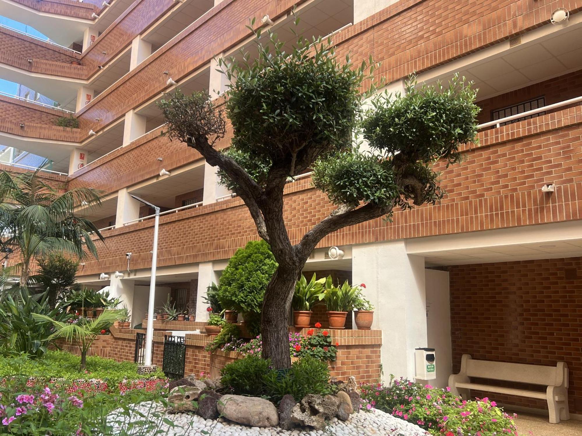 Apartamentos Marina Park Оропеса-дель-Мар Екстер'єр фото